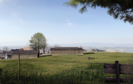 meili partner baumanagement