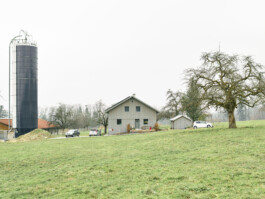 meili partner baumanagement