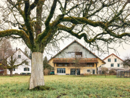 meili partner baumanagement