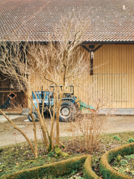 meili partner baumanagement