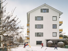 meili partner baumanagement