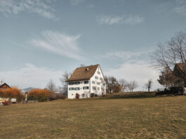 meili partner baumanagement